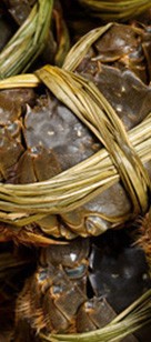 陽(yáng)澄湖哪里吃大閘蟹好